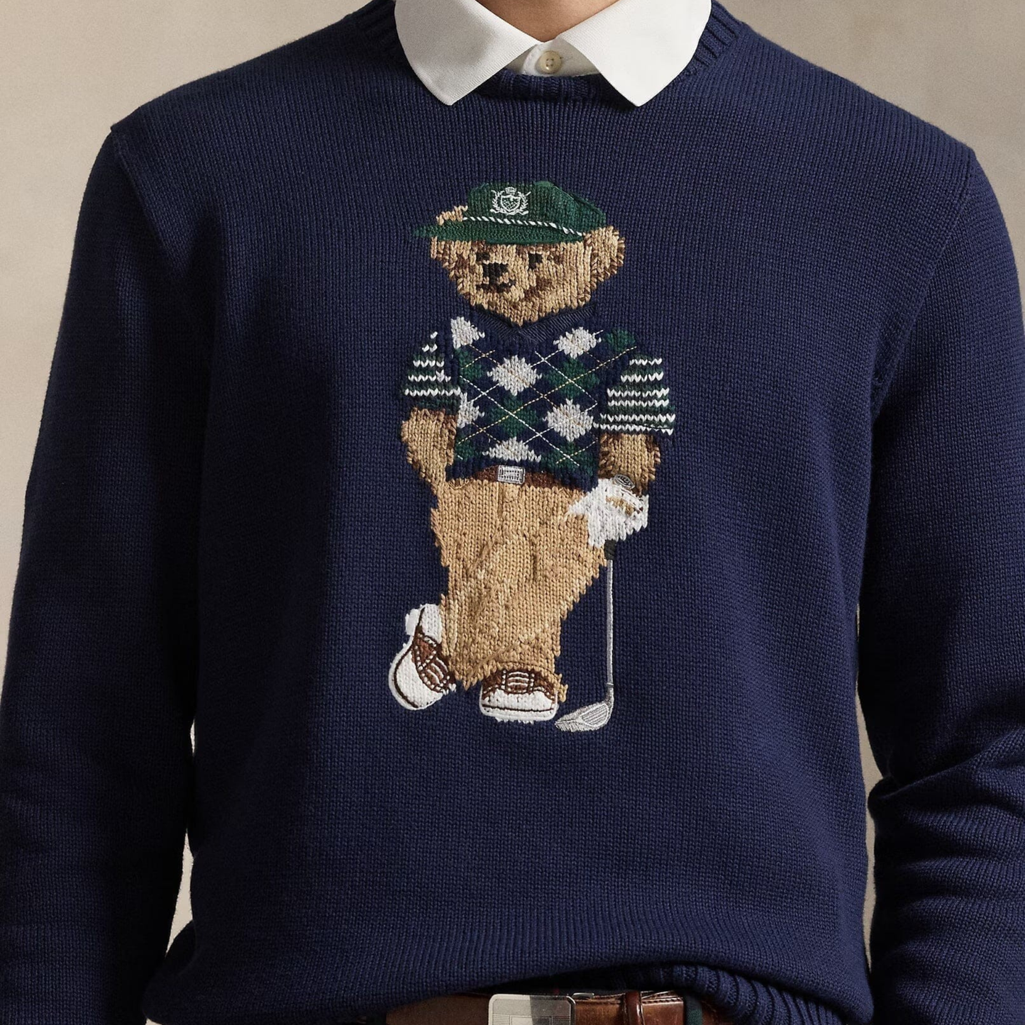 Bear Performance-Pullover